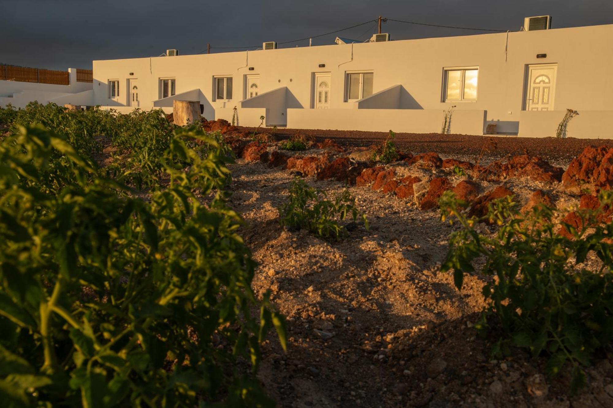 Calma Eco Houses Sunset View Emporio  Exterior foto